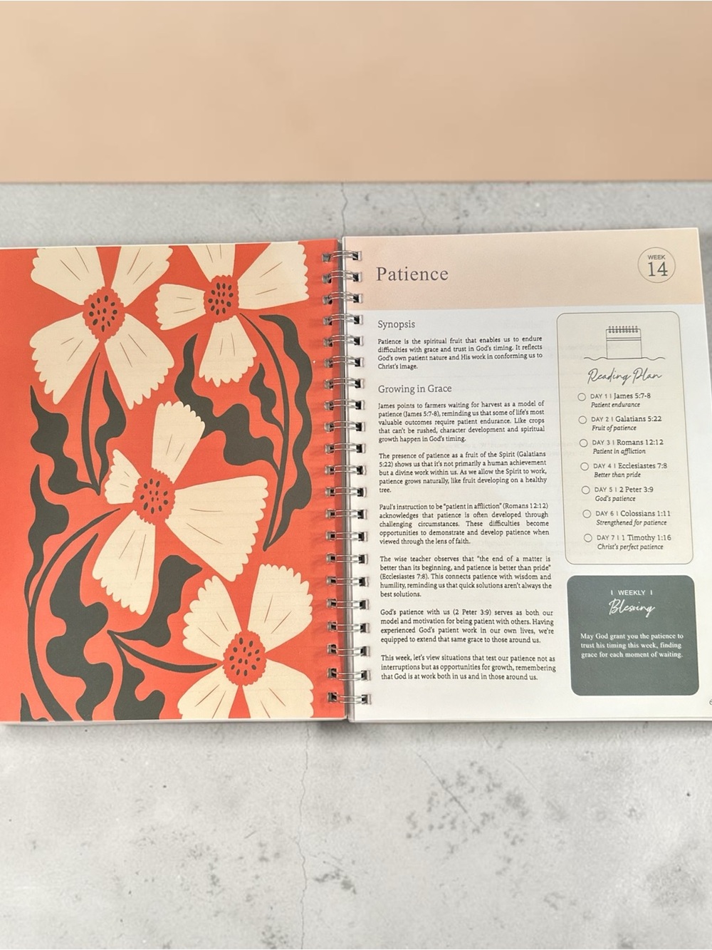 The Bible in a Year Spiral Notebook — Floral Teal & Coral - Picture 3 of 6